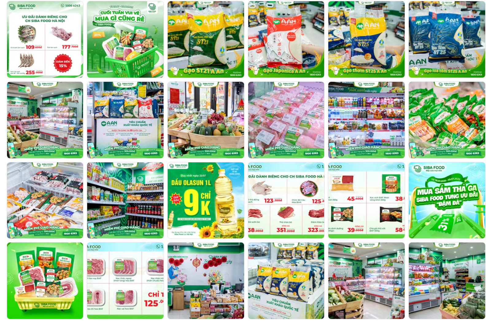 Thực phẩm siba food